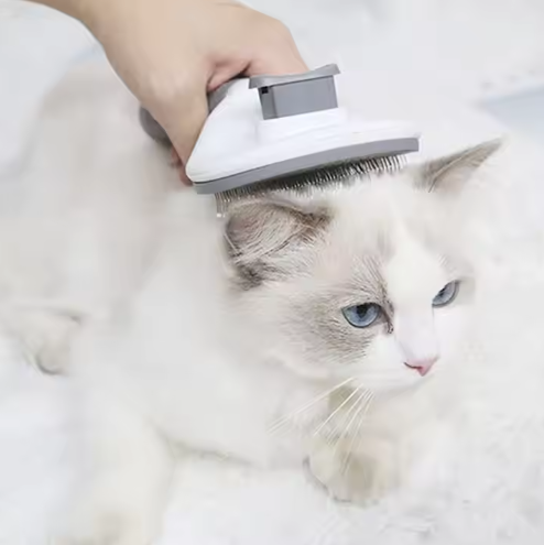 Best-Selling Pumpkin Pet Grooming Hair Brush