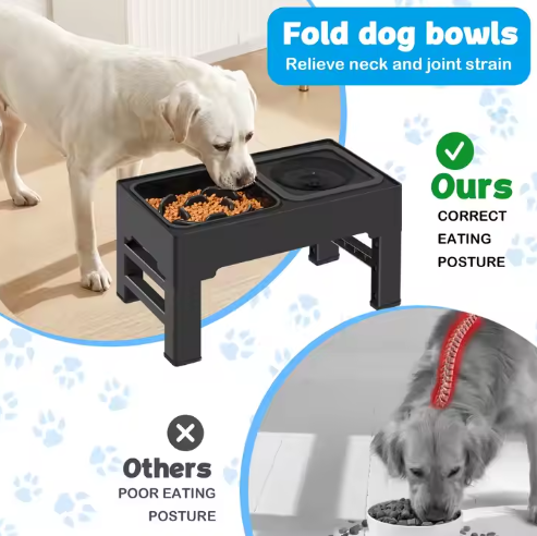 Elevated Slow Feeder Dog Bowls: Promoting Healthy Eating Habits