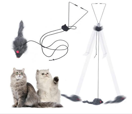Indoor Bouncing Retractable Interactive Bouncing Cat Toy